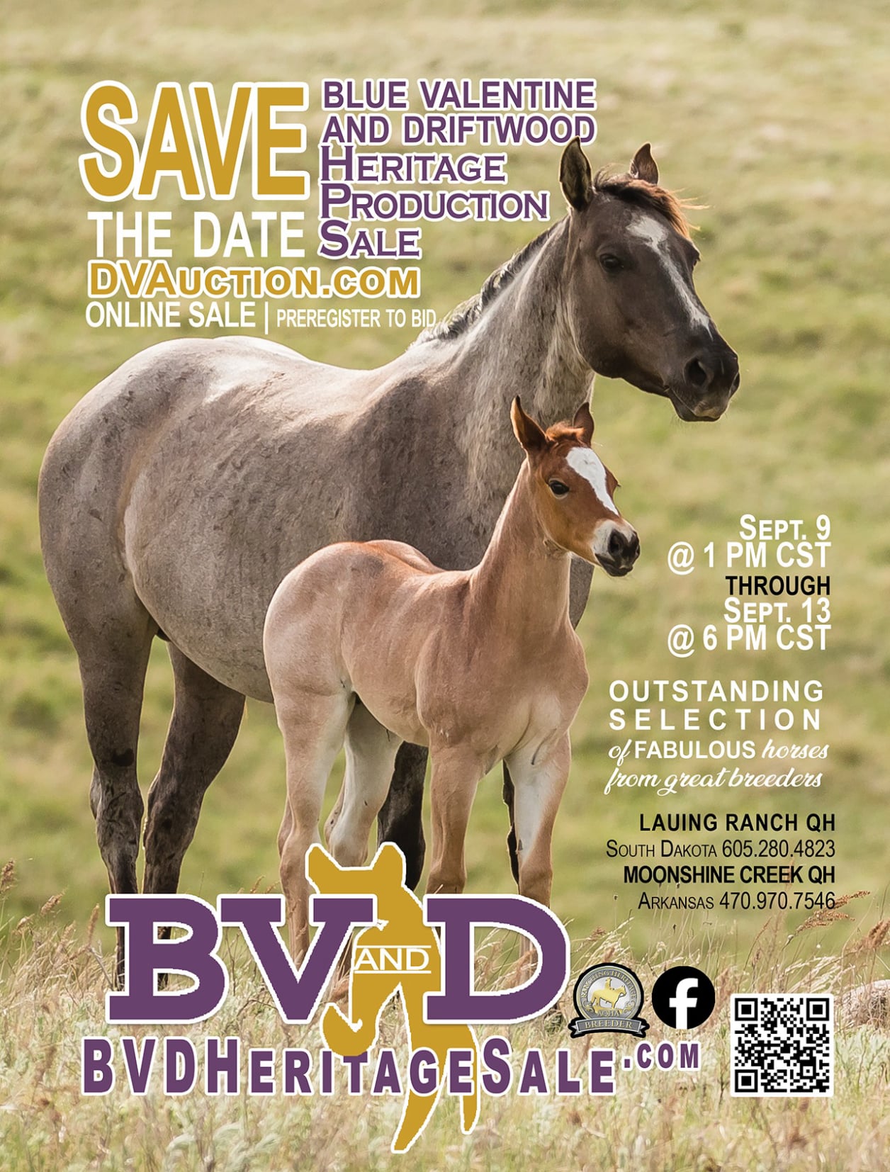2026 BV and D Horse Sale