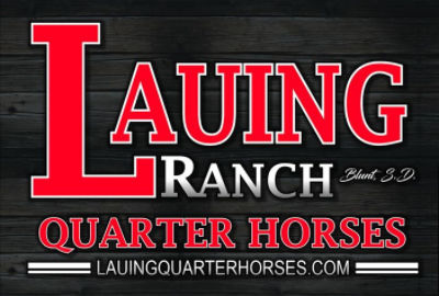 Lauing Ranch Quarter Horses