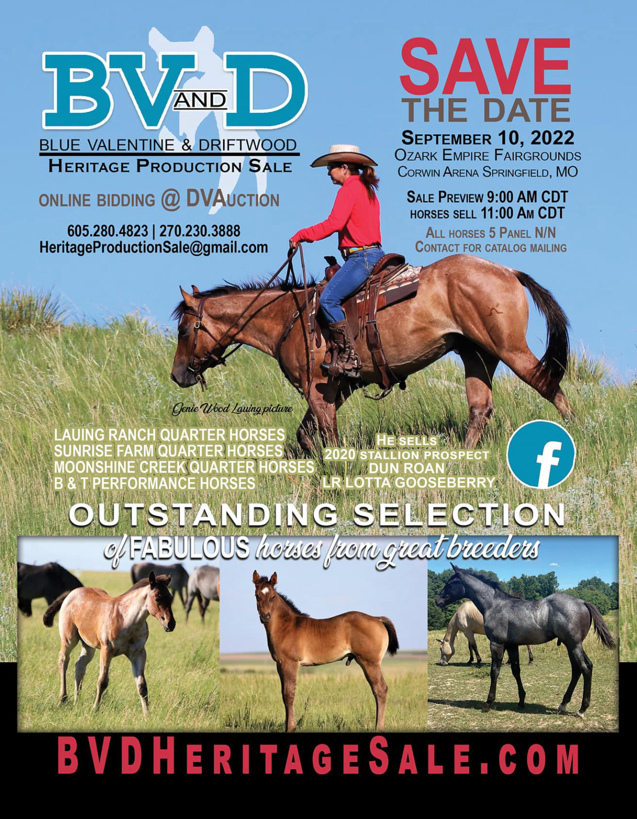 2022 BV and D Horse Sale
