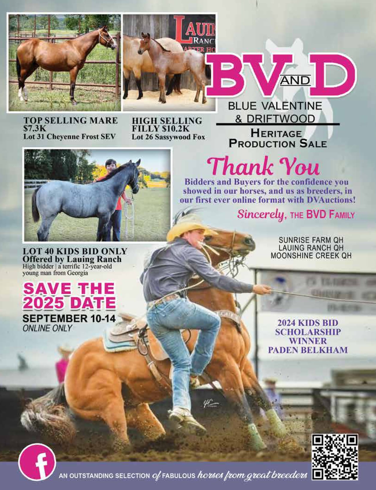 2025 BV and D Horse Sale