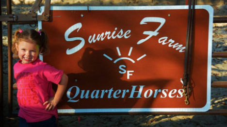 Sunrise Farm Quarter Horses